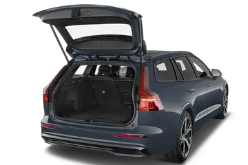 trunk
