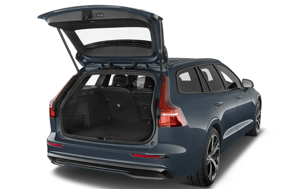 trunk
