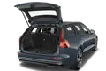 trunk