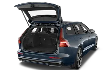 trunk