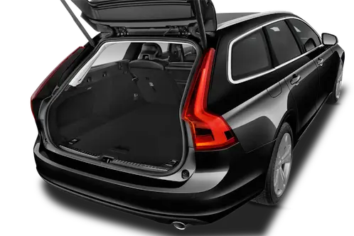 trunk