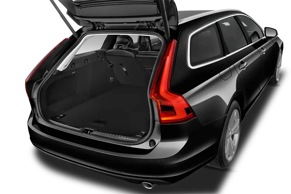trunk