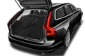 trunk
