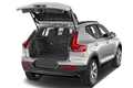 trunk