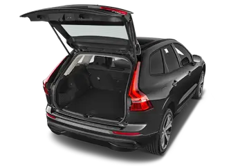trunk