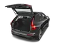 trunk