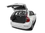 trunk