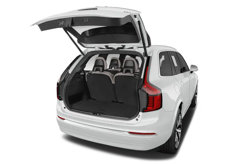 trunk