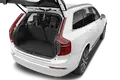 trunk