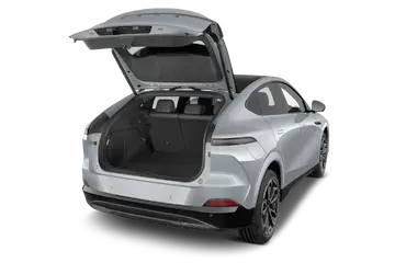 trunk