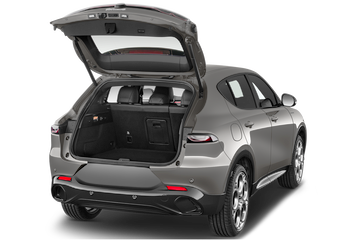 trunk