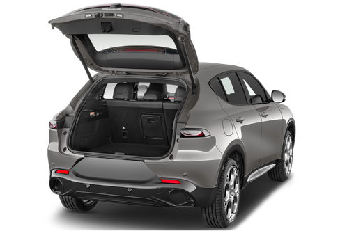 trunk