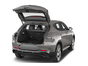 trunk