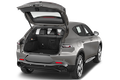 trunk