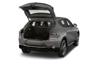 trunk