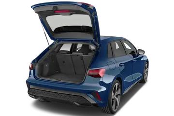 trunk