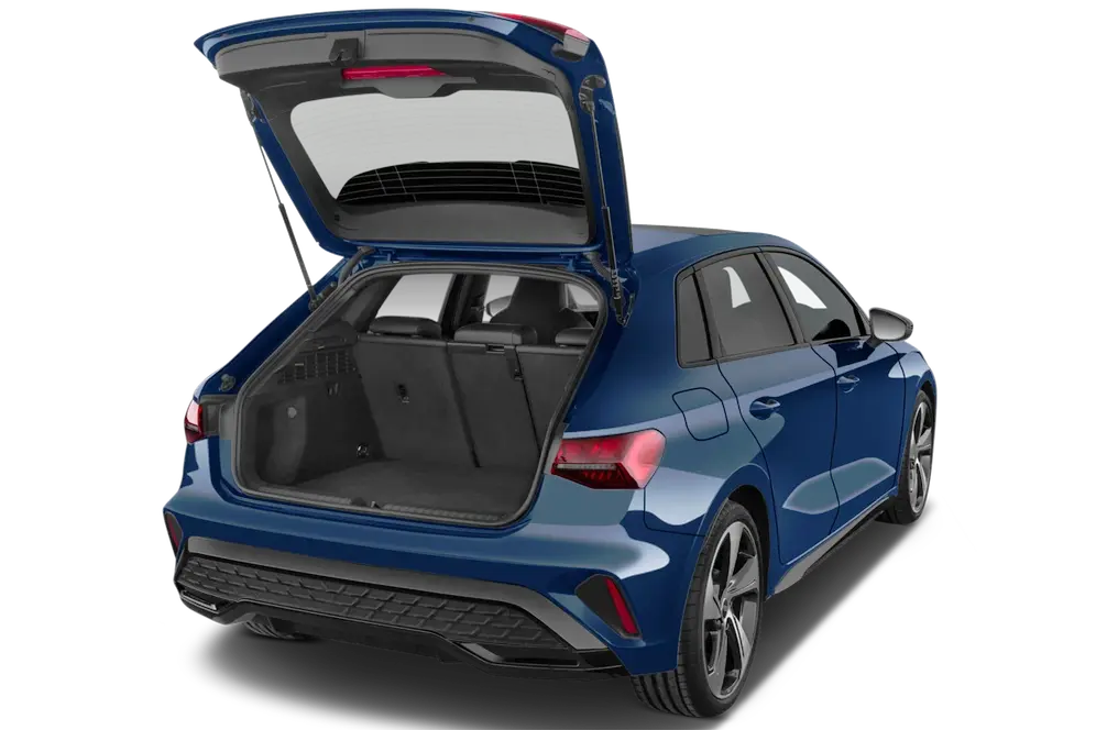 trunk