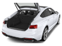 trunk