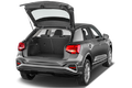 trunk