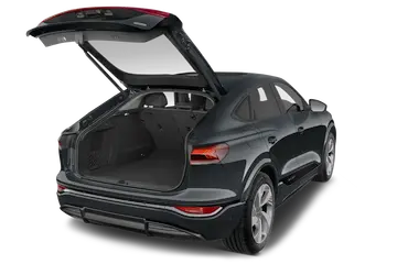 trunk