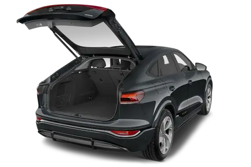 trunk