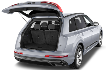 trunk