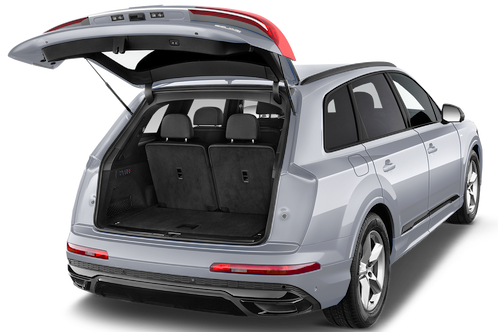 trunk