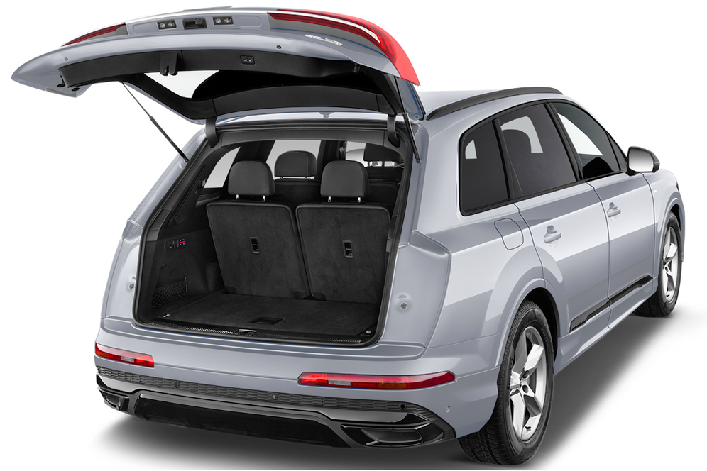 trunk