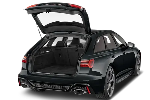 trunk