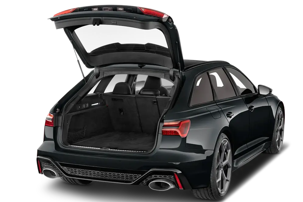 trunk