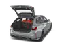 trunk