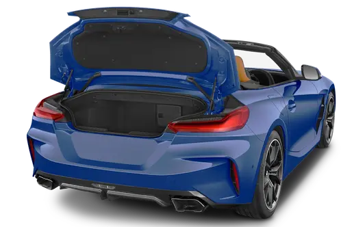 trunk