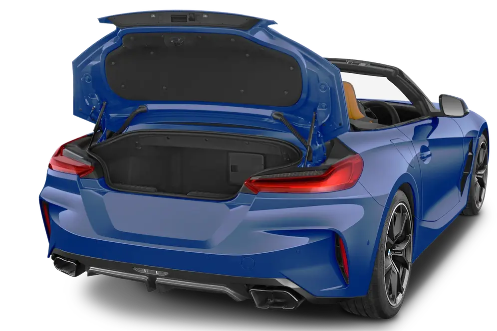 trunk
