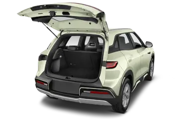 trunk