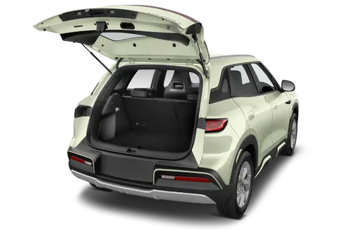 trunk