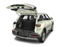 trunk