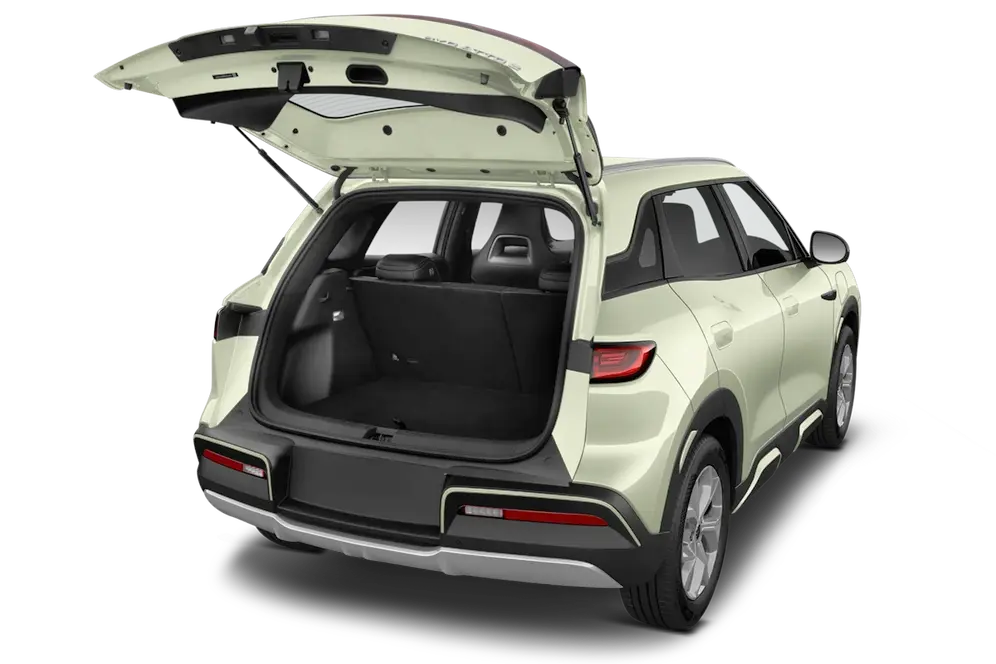 trunk