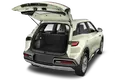 trunk