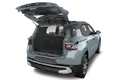 trunk