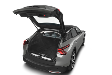 trunk