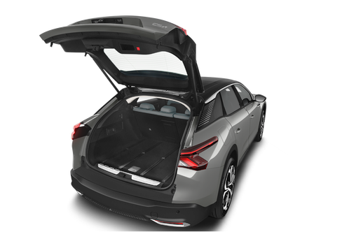 trunk