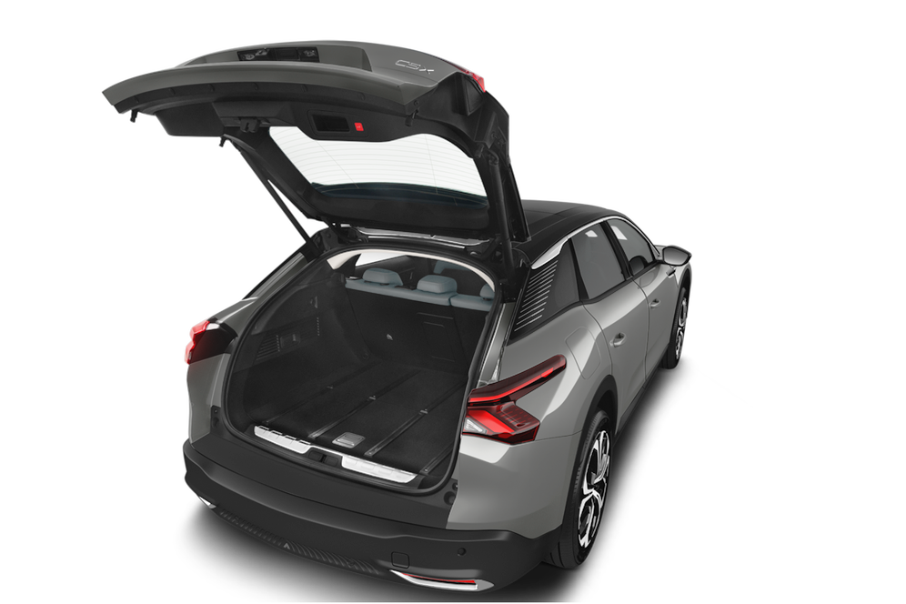 trunk