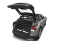 trunk
