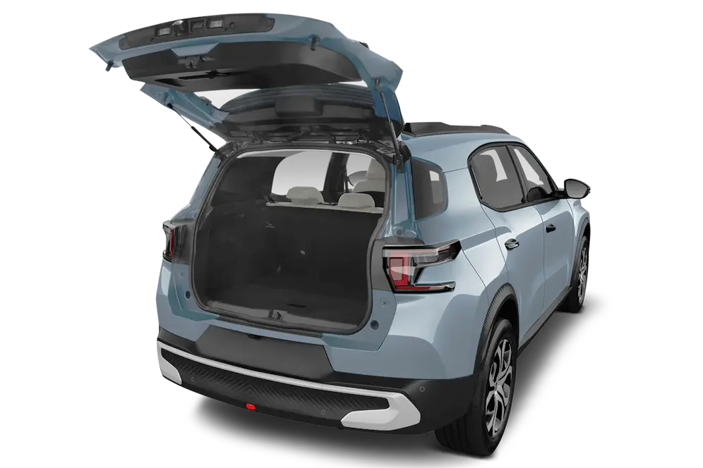 trunk