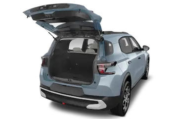 trunk