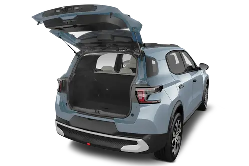 trunk