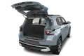trunk