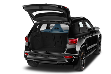 trunk