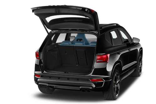 trunk