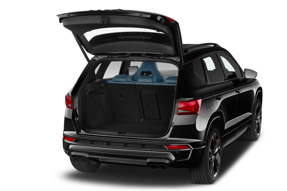 trunk